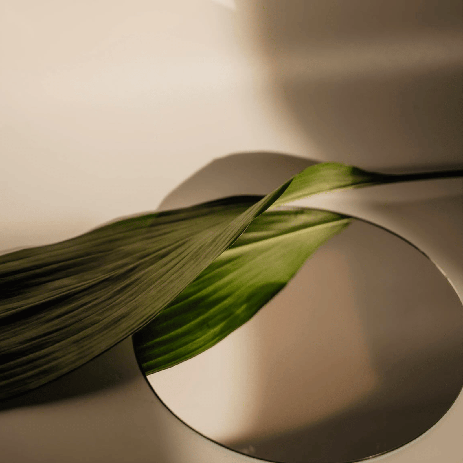 prestations soins sorella